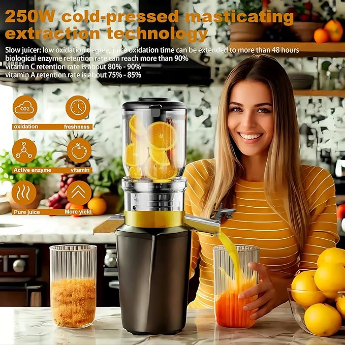 Fyenkfar cold press slow juicer