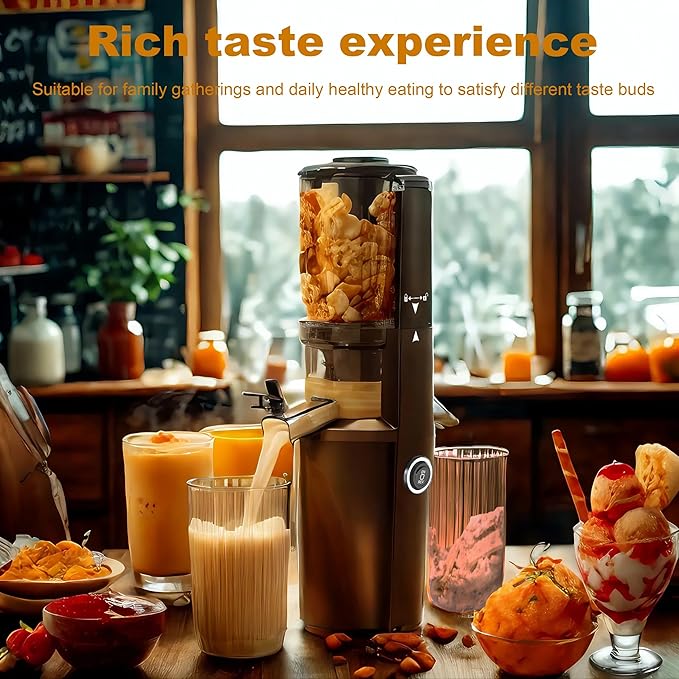 Fyenkfar cold press slow juicer